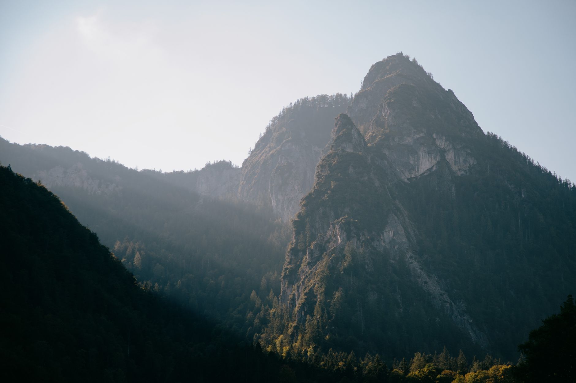 Wildfire and Smoke Season in Sequoia National Park: When It Is and How to Check Before You Go